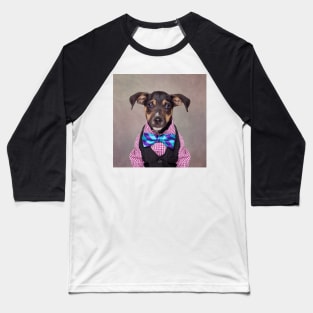 Shelter Pets Project - Hitch Baseball T-Shirt